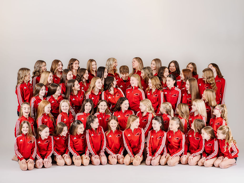 Introducing our Competitive Teams